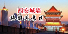 淫乱阿宾中国陕西-西安城墙旅游风景区